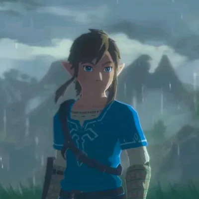 Link BotW