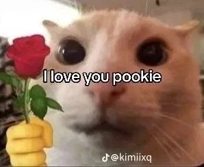 REQUEST BOT