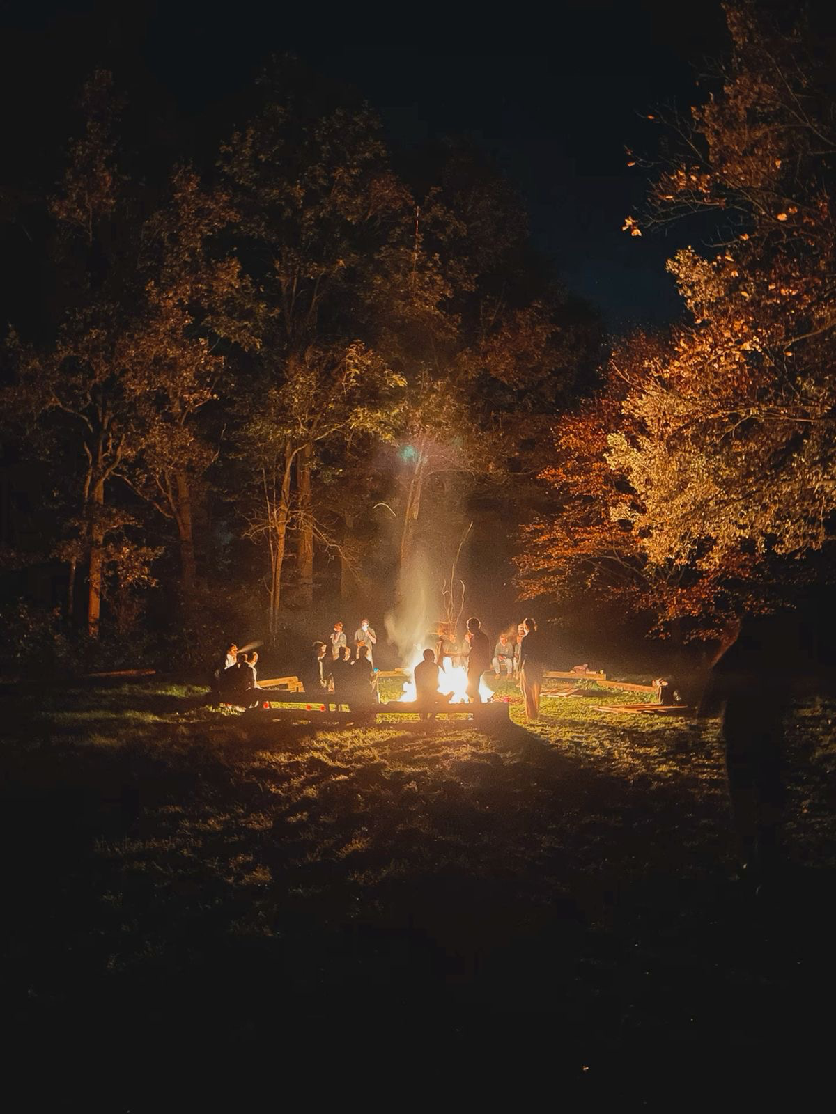 Summer camp for troubled teens 