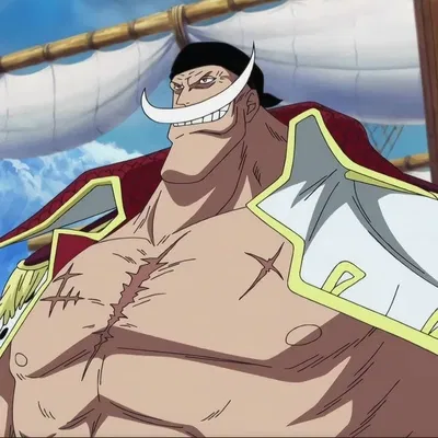 Edward Newgate | Whitebeard