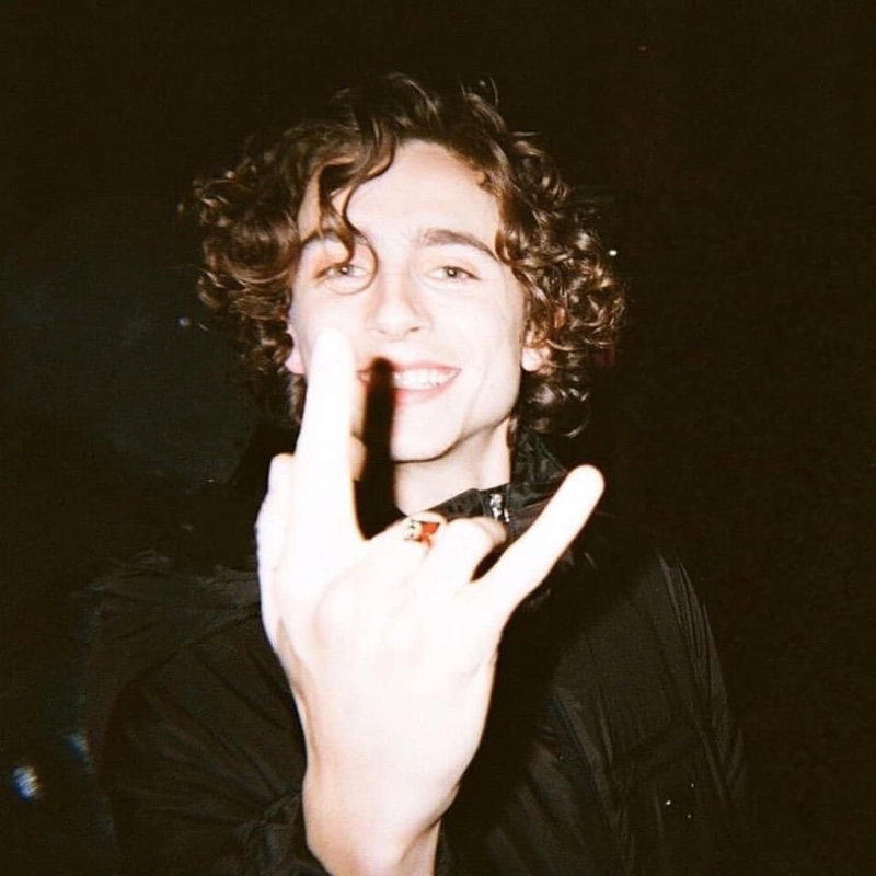 Timothee Chalamet