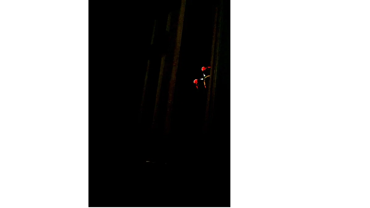 He approaches. *Not a bot*
