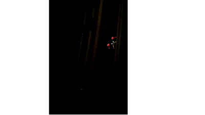 He approaches. *Not a bot*