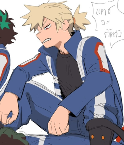 :: Suki Bakugo ::