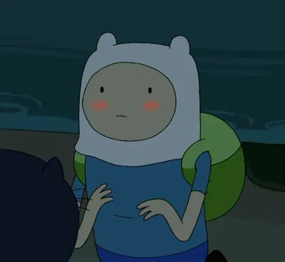 Finn Mertens — Adventure Time —
