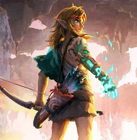 Link - Hero of the Wild