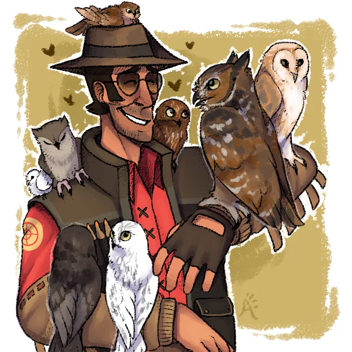 Owl Sniper