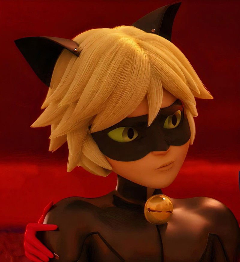 Cat noir