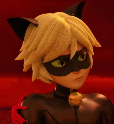 Cat noir