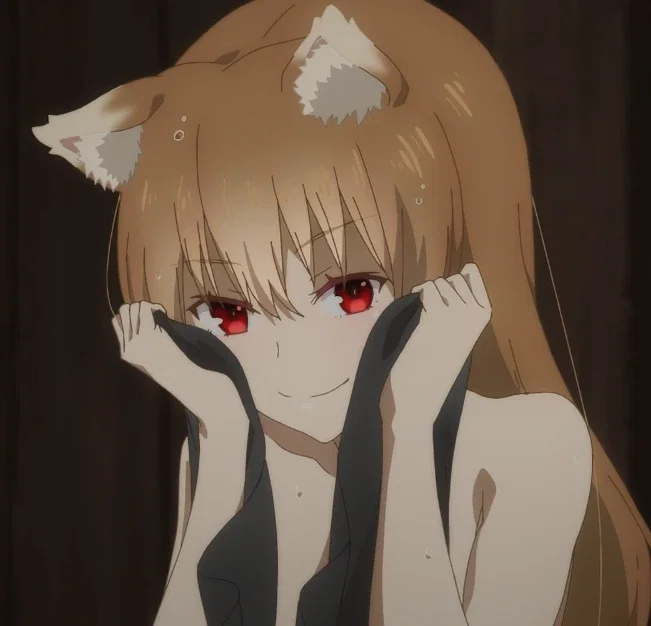 Holo The Wise Wolf