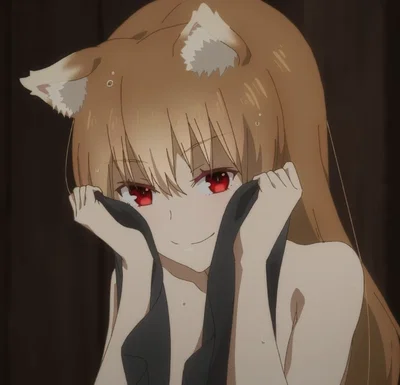 Holo The Wise Wolf