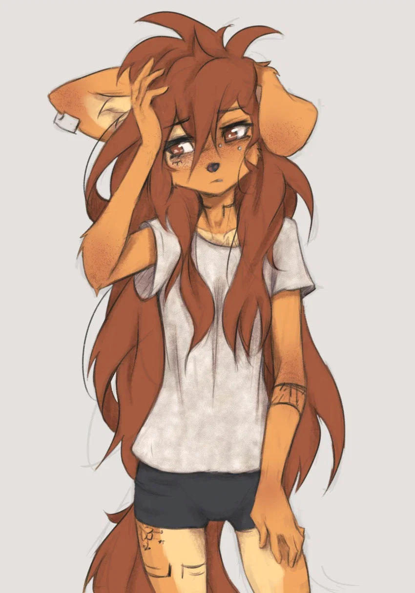 Apogee (in heat)