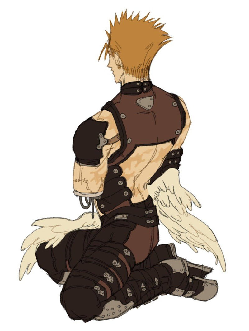 Vash the Stampede 