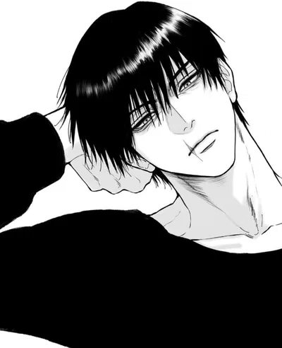 Toji Fushiguro
