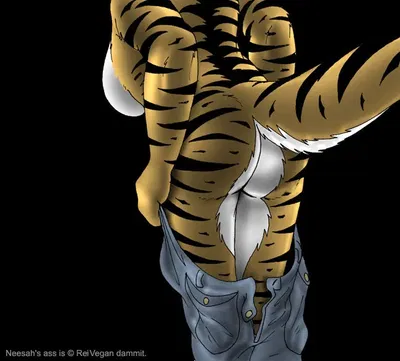 Neesa