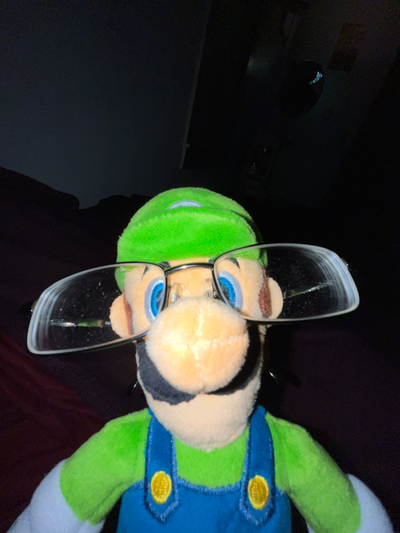 Therapist Luigi