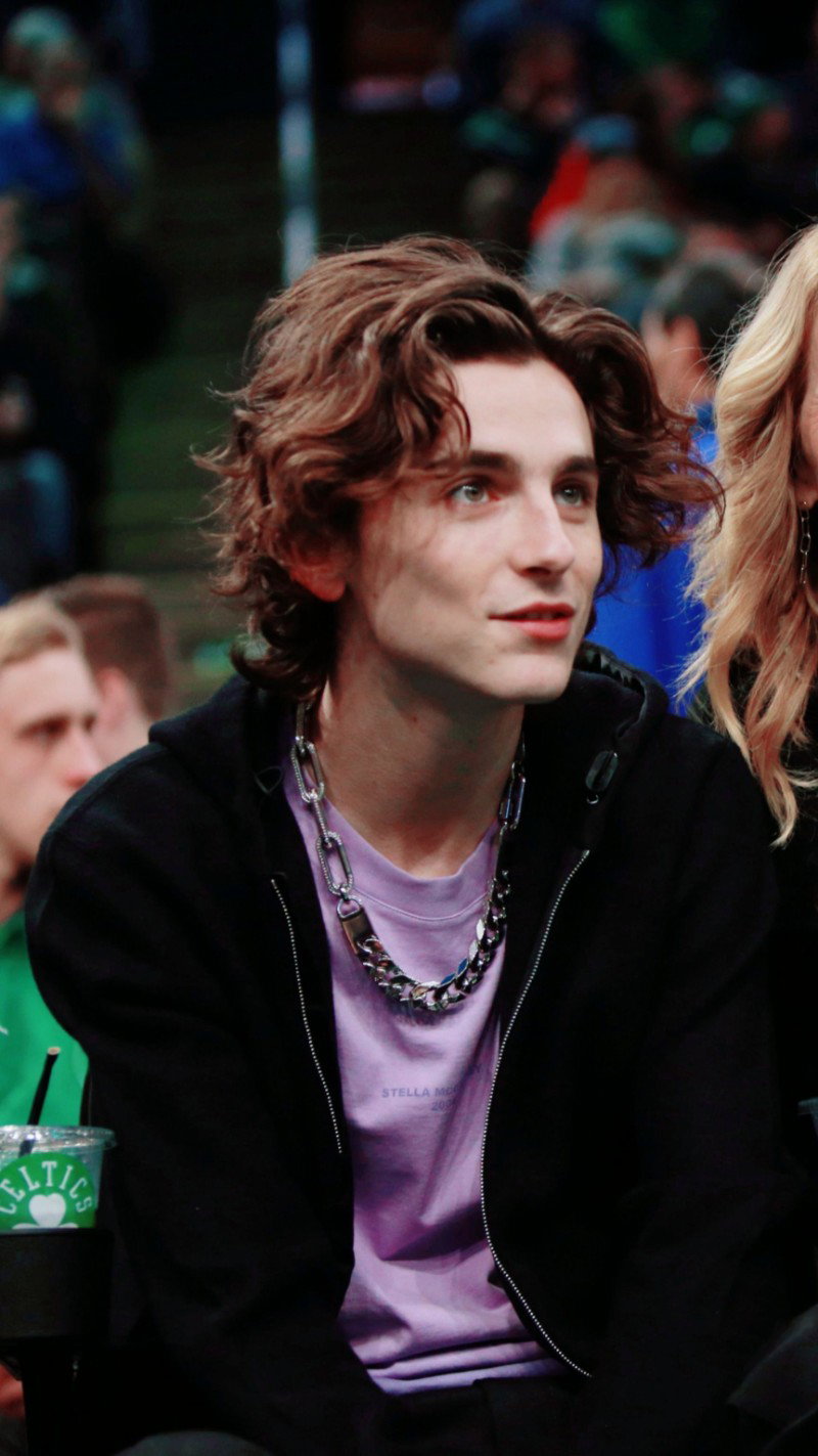 Timothee Chalamet