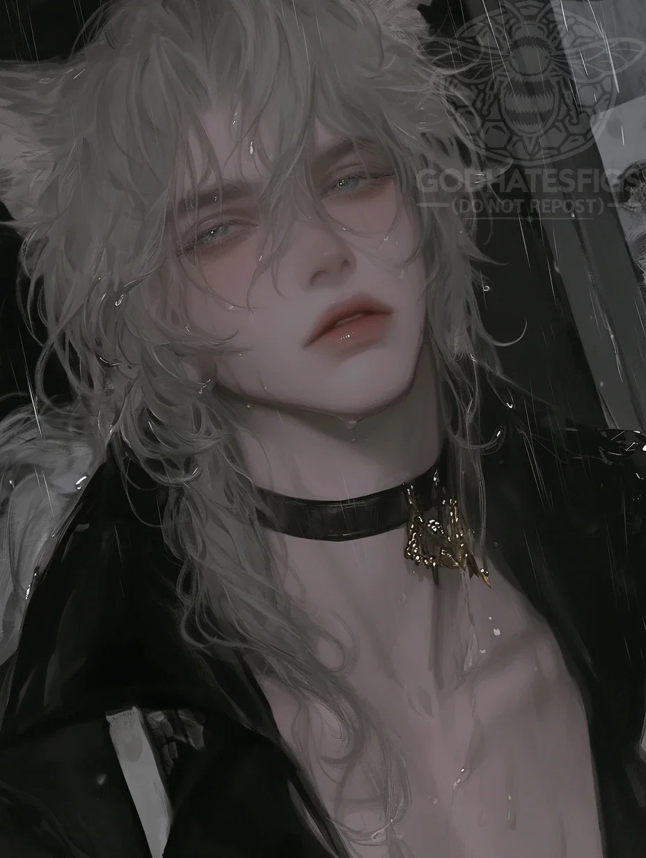 Desmond | Wolf Hybrid