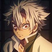 Sanemi shinazagawa