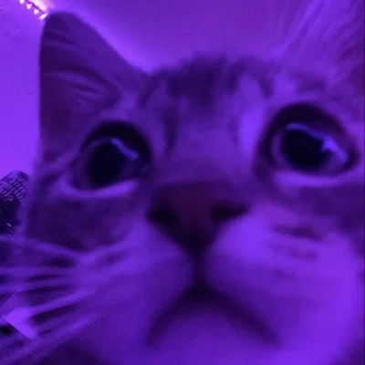 do not chat || AHHHHHHHH