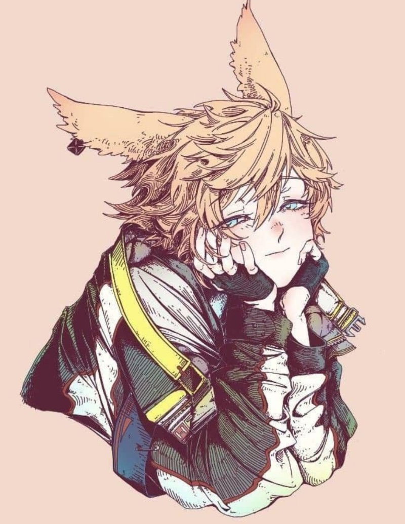Clover | CHC Scout