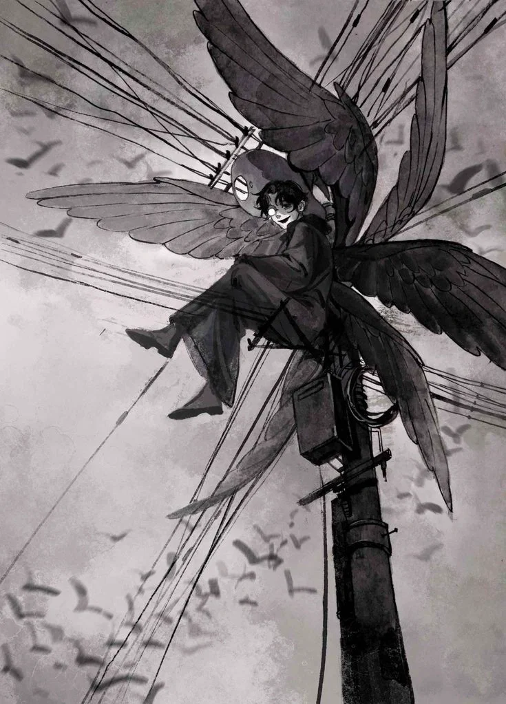 A spectacle for ones eyes