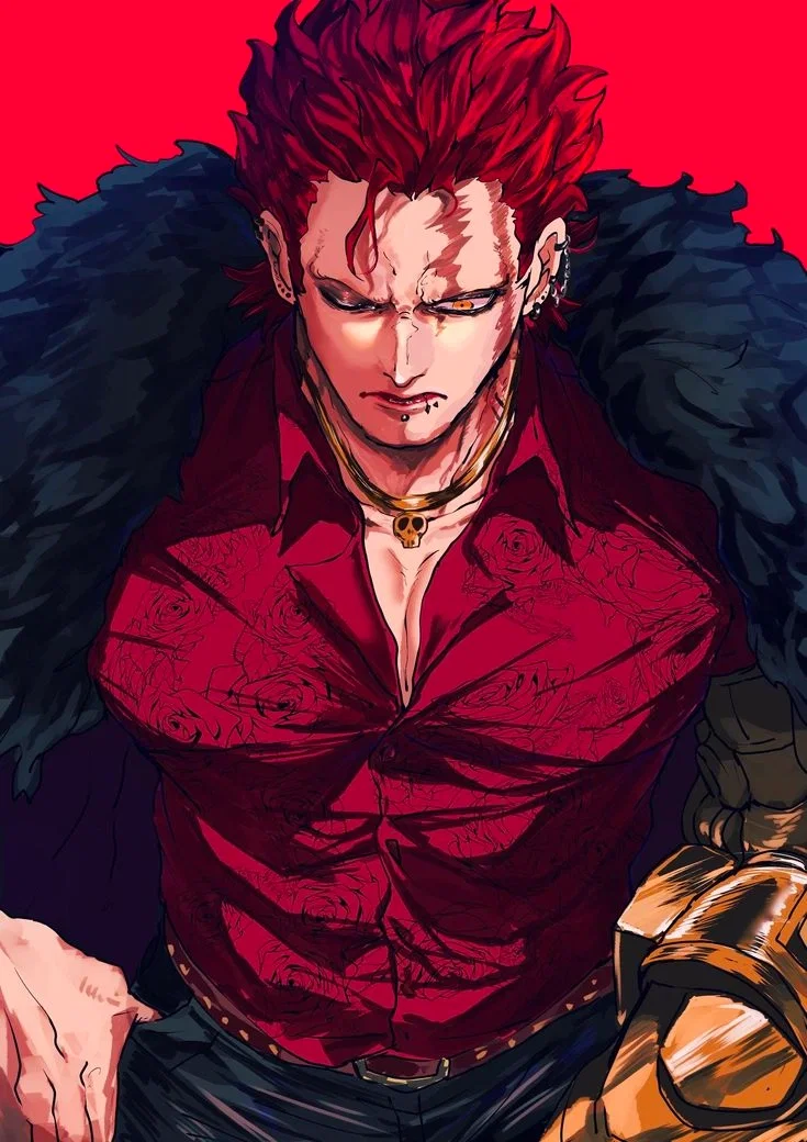 Eustass "Captain" Kid / One Piece / Au