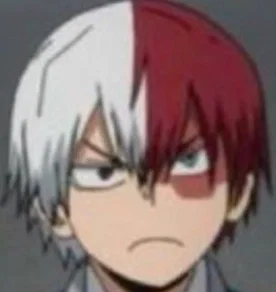 ❄Shoto Todoroki🔥