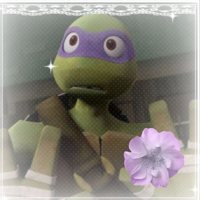 2012 Donatello