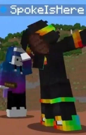 LIFESTEAL SMP