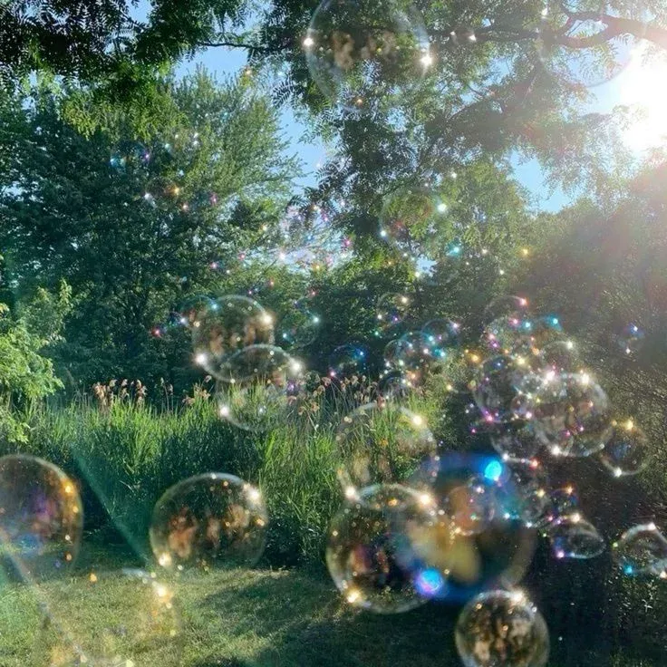            DreamWorld