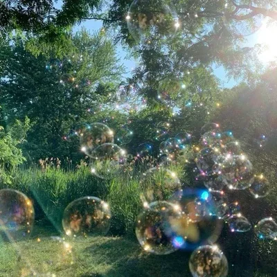            DreamWorld