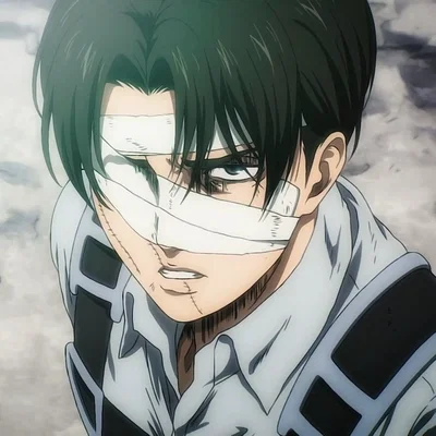 Levi Ackerman | BL