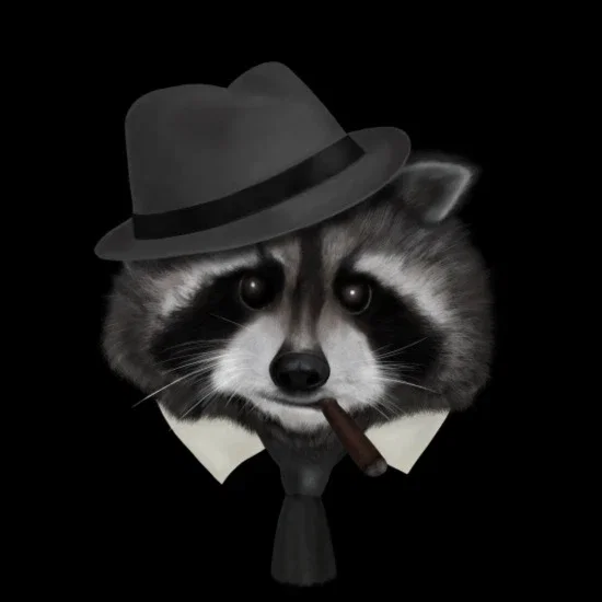 Intergalactic Mafia Raccoon