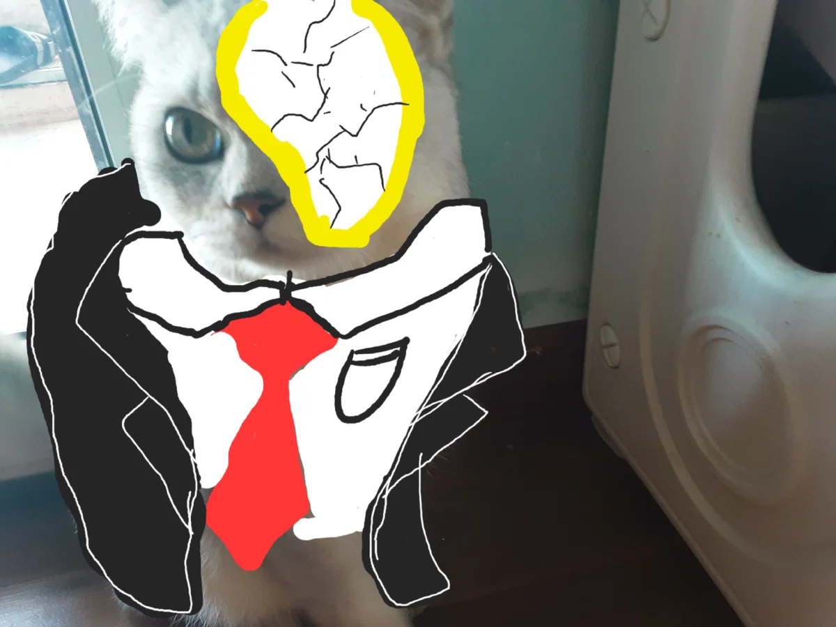 Catien - the catdex meowfather