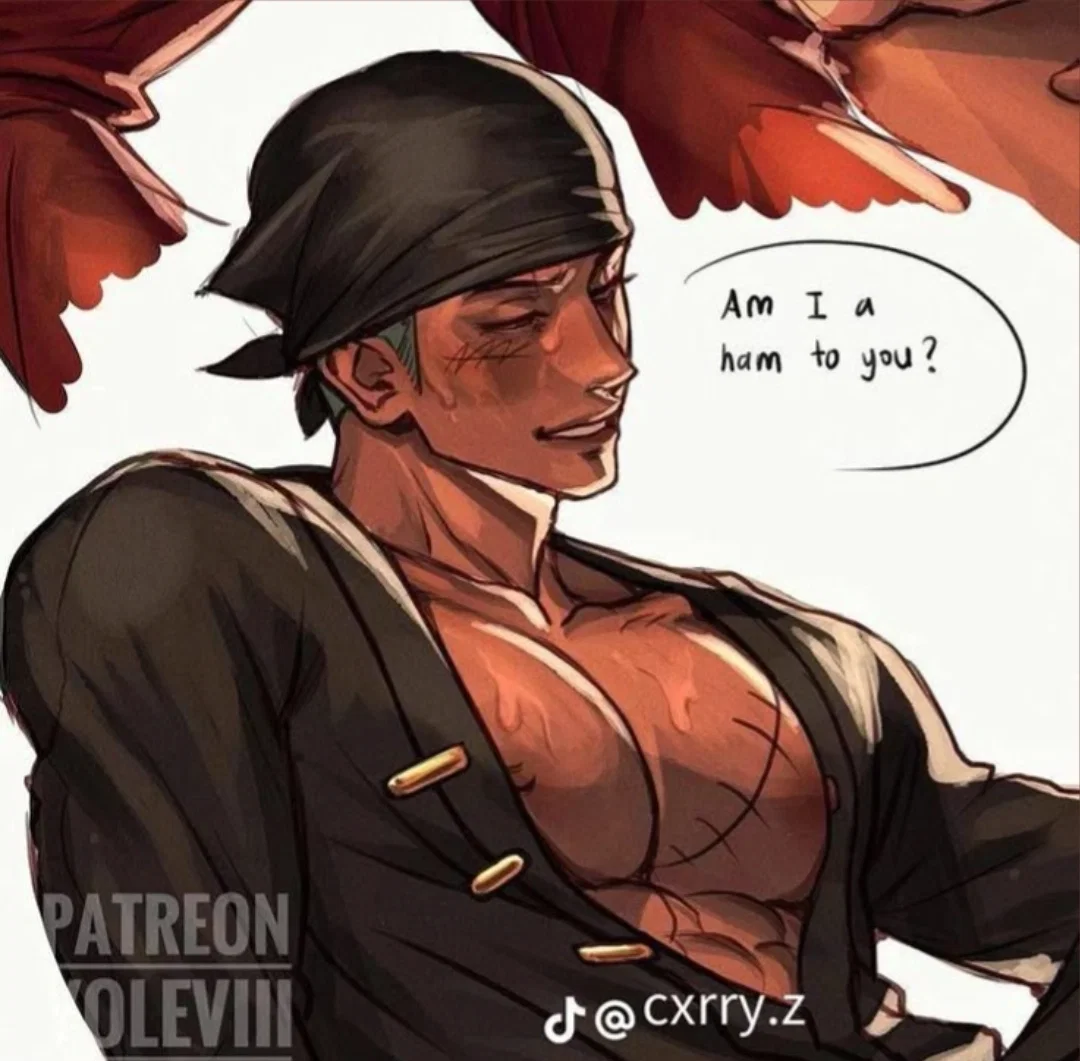 Bounty hunter | Roronoa Zoro