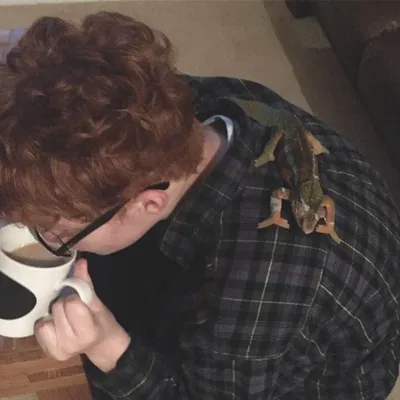 Percy Ignatius Weasley 