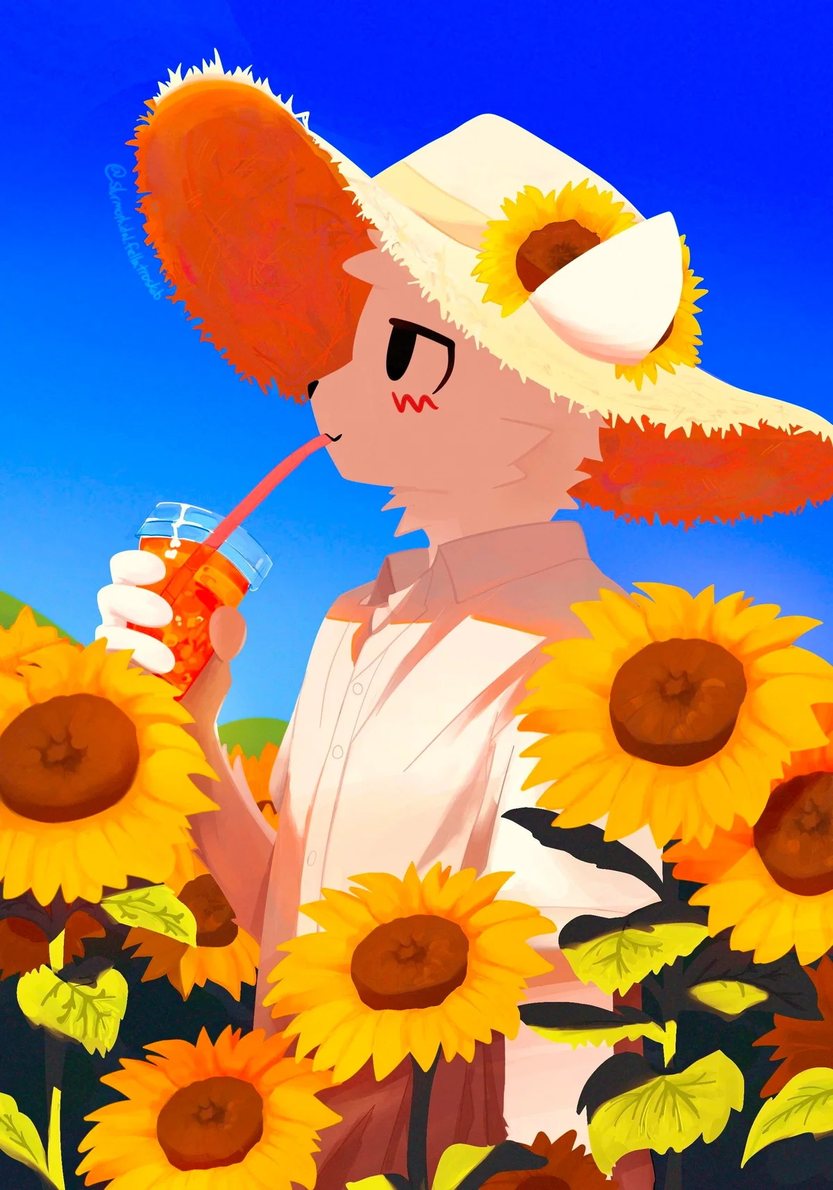 Message No0