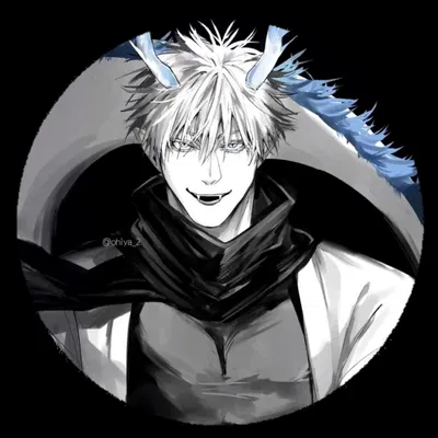 ☆° Satoru Gojo