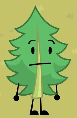 Fern - BFDIE