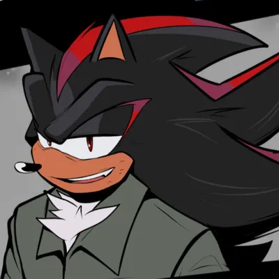 Shadow The Hedgehog