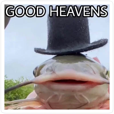 For future investment