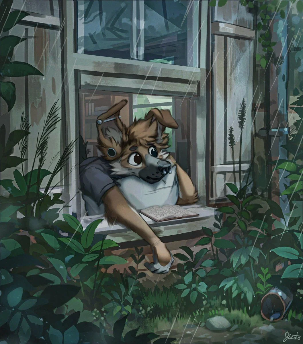 Rainy Day-Jitter