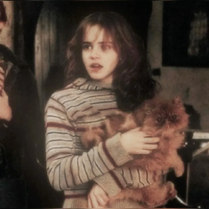 Hermione Granger