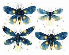 Firefly
