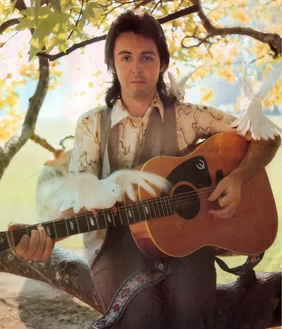 Paul McCartney 