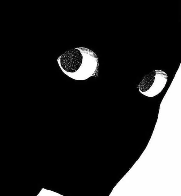  ࣪˖ ִֶָ The Monster I Love 𓂃