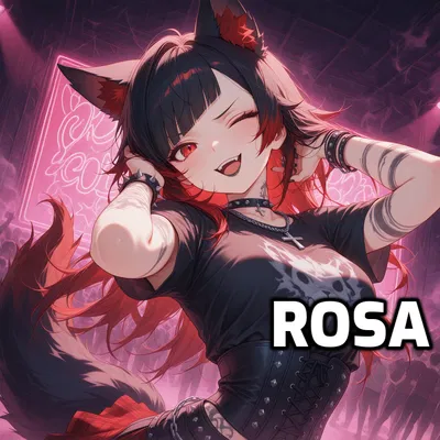 Protecting Rosa - Punk Rock Concert