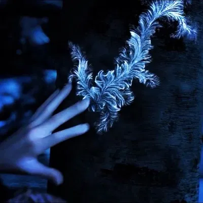 Jack Frost