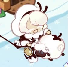 Cotton Cookie